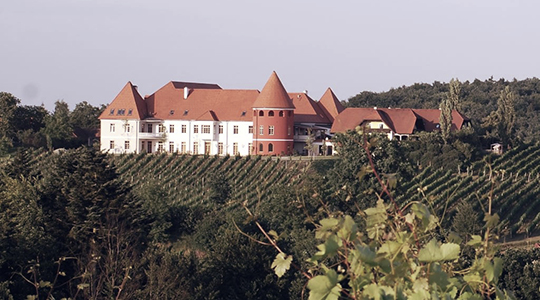 Schloss_Thaller_540